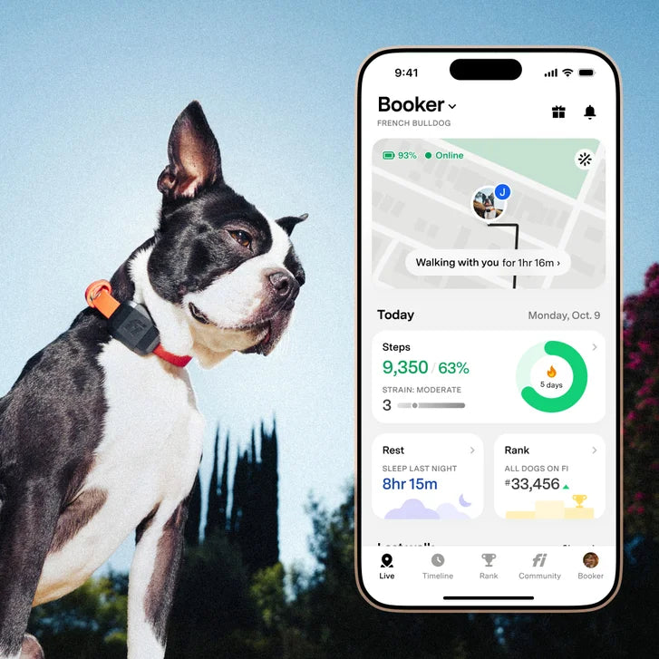 Fi Mini GPS Tracker Activity & Health Monitor, Includes 1-Year Membership
