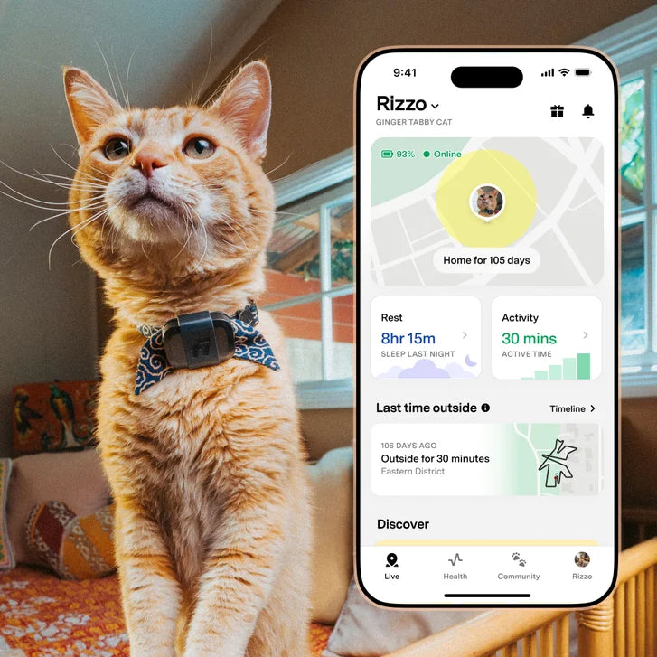 Fi Mini GPS Tracker Activity & Health Monitor, Includes 1-Year Membership