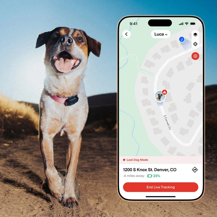 Fi Mini GPS Tracker Activity & Health Monitor, Includes 1-Year Membership