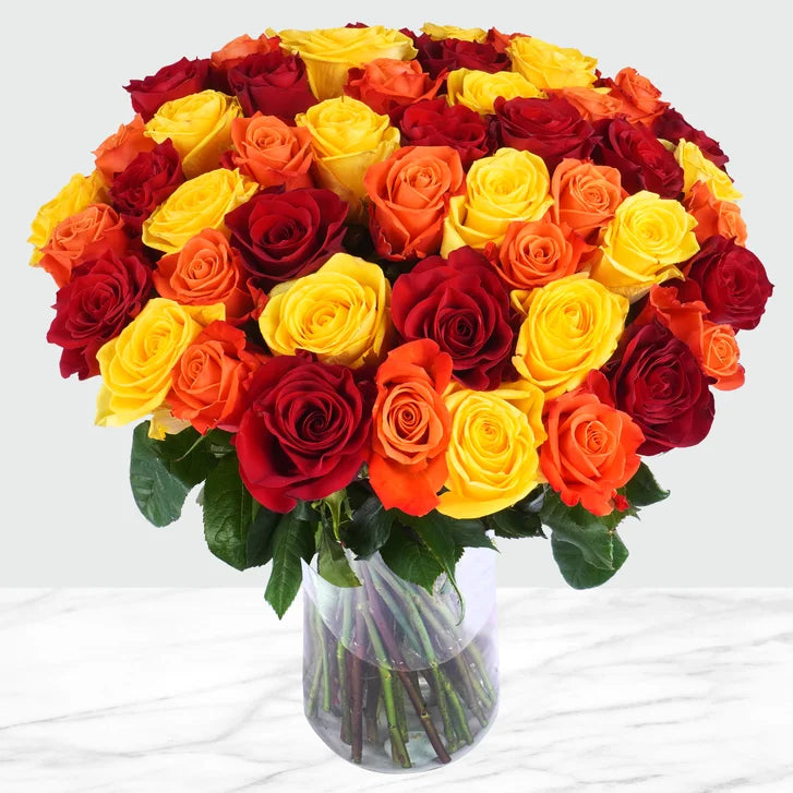 Fall Rose Arrangement, 50-stems