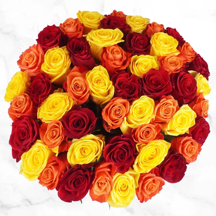 Fall Rose Arrangement, 50-stems