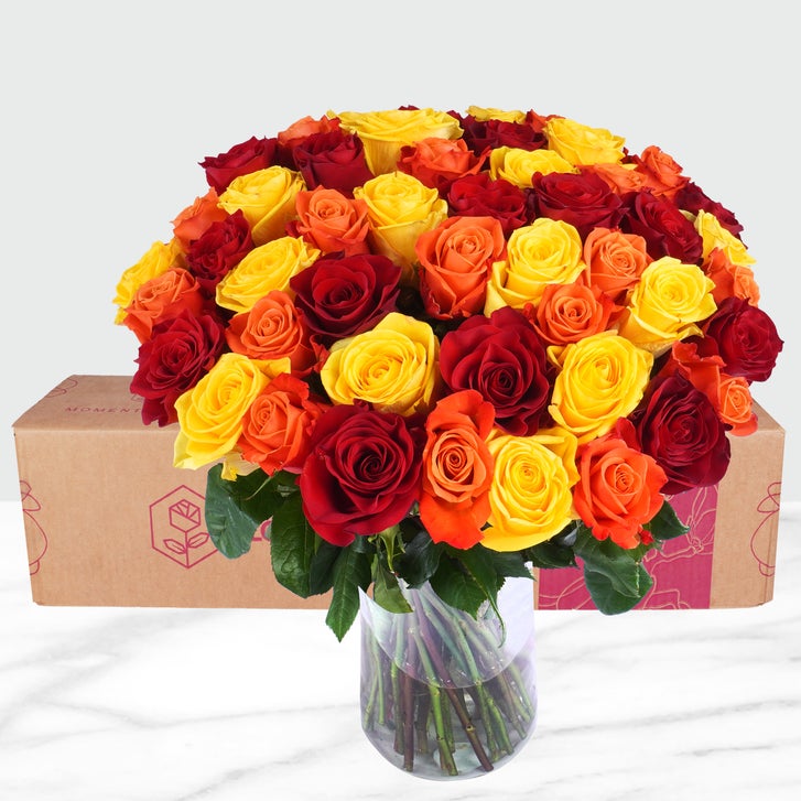 Fall Rose Arrangement, 50-stems