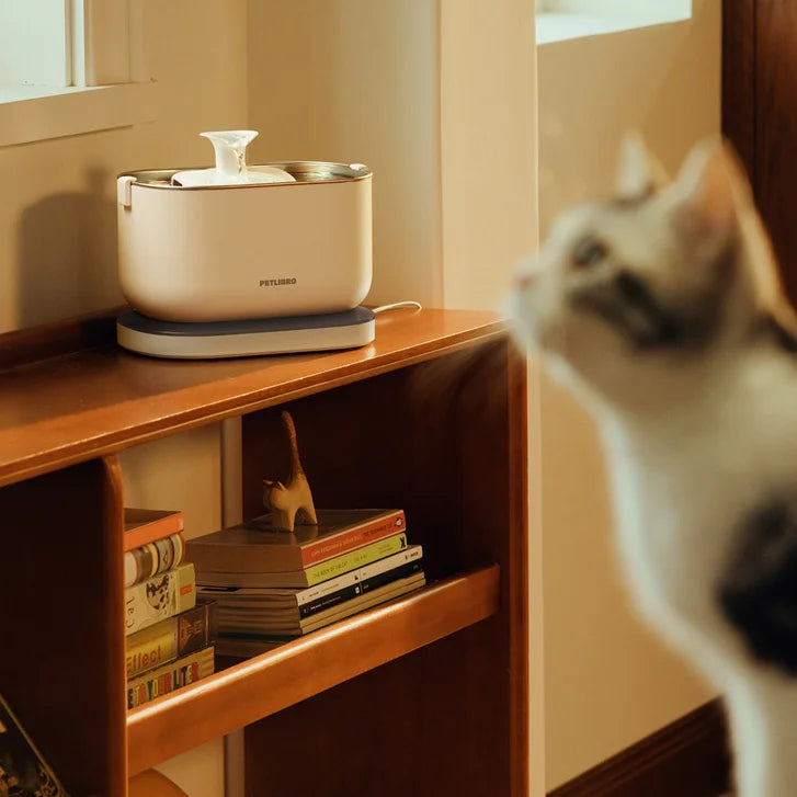 Petlibro Cordless Pet Water Fountain