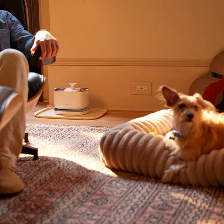 Petlibro Cordless Pet Water Fountain