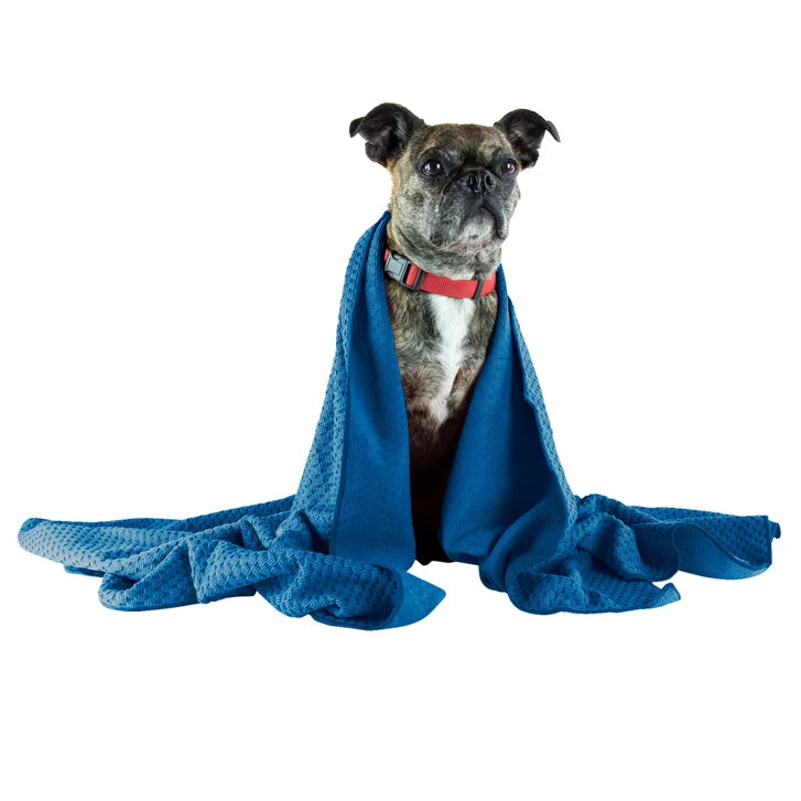 Nellie's Dog Towel and Waterless Dog 16 fl oz Shampoo Bundle