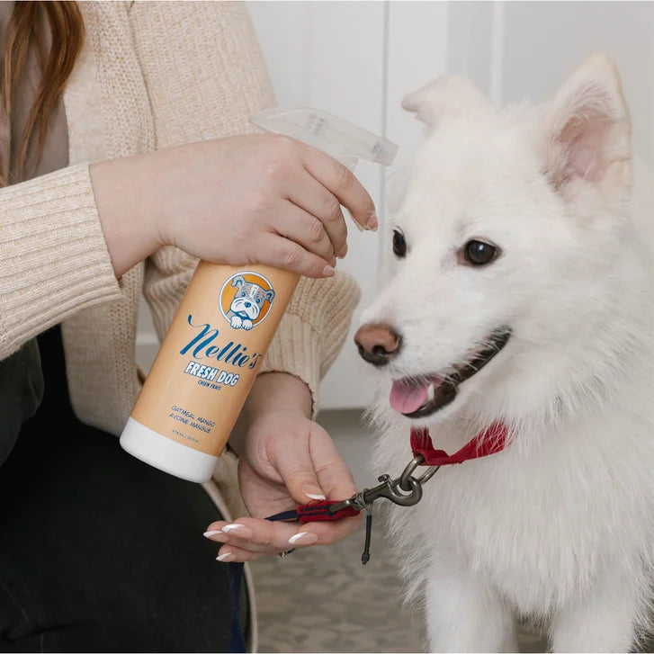 Nellie's Dog Towel and Waterless Dog 16 fl oz Shampoo Bundle