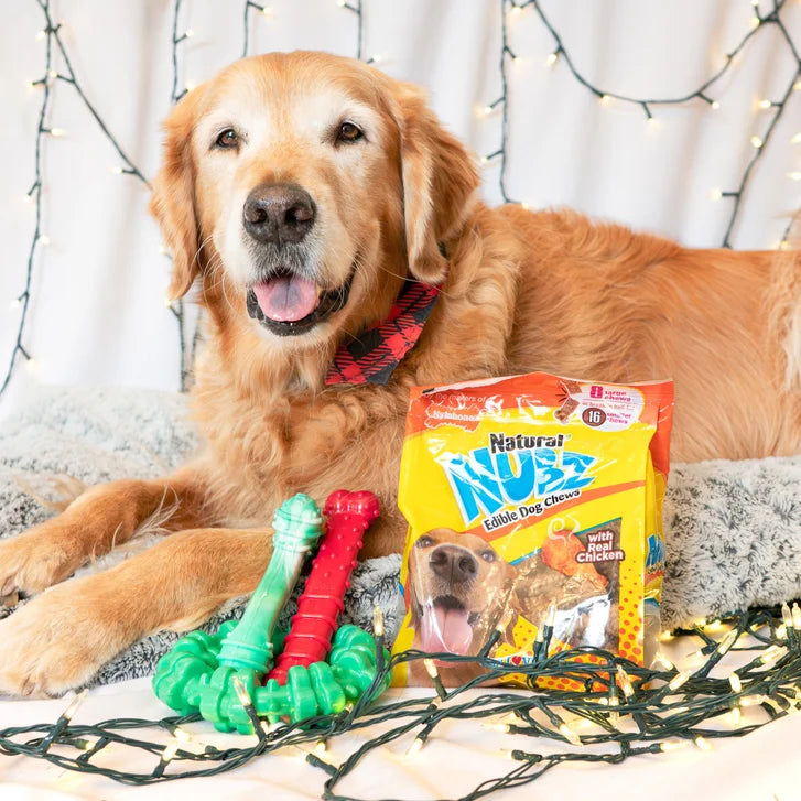 Nylabone Chew Toys & NUBZ Chew Treats Holiday Gift Box, 4-count