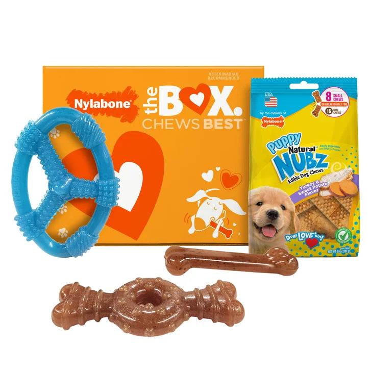 Nylabone Puppy Chew Toys and Small NUBZ Gift Box, 4-count