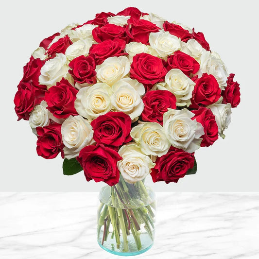 Red and White Roses Fresh Cut Floral, 50-stems