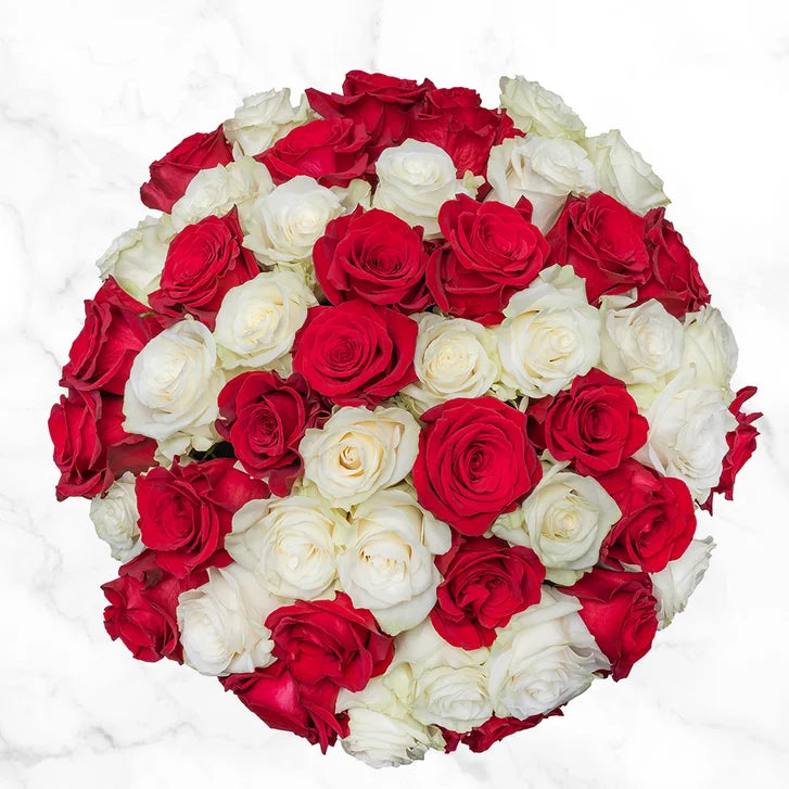 Red and White Roses Fresh Cut Floral, 50-stems