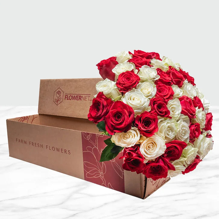 Red and White Roses Fresh Cut Floral, 50-stems
