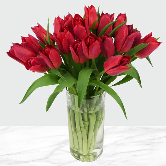 Red Tulips Fresh Cut Floral Arrangement, 20-stems