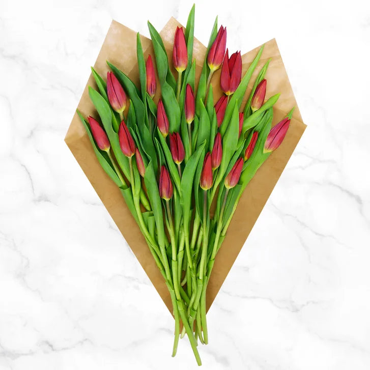 Red Tulips Fresh Cut Floral Arrangement, 20-stems