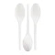 Eco Raj Compostable Spoon, 1,000-count